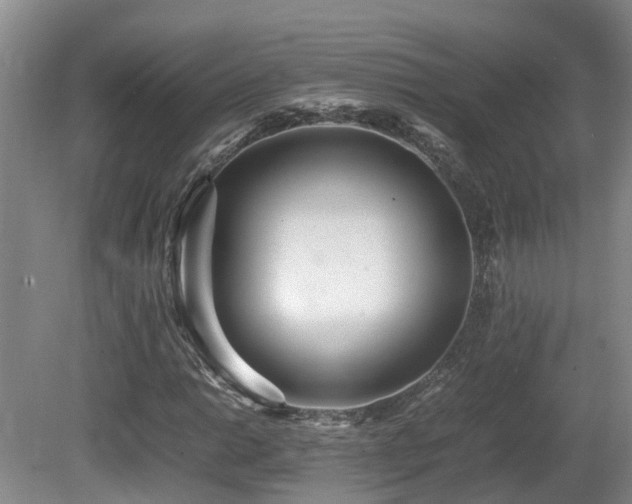 X0000081591014200701151303