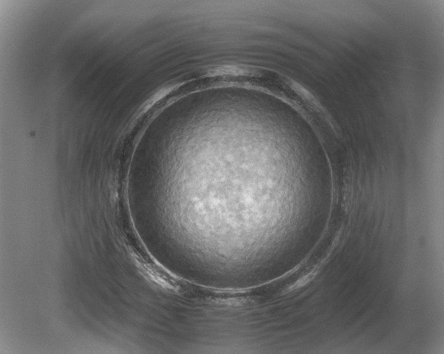 X0000081591017200701151303