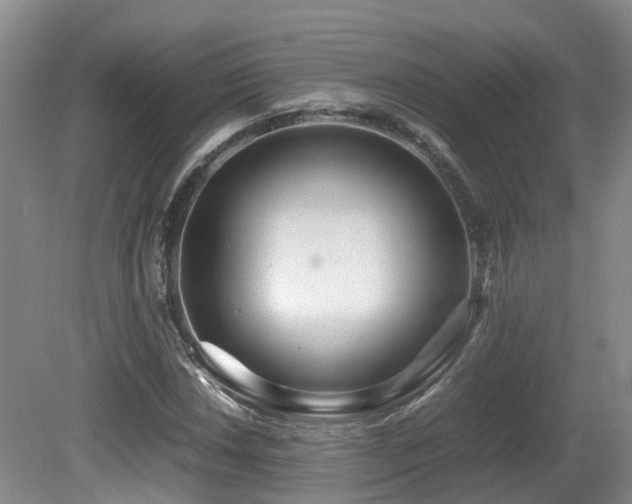 X0000081591018200701151303