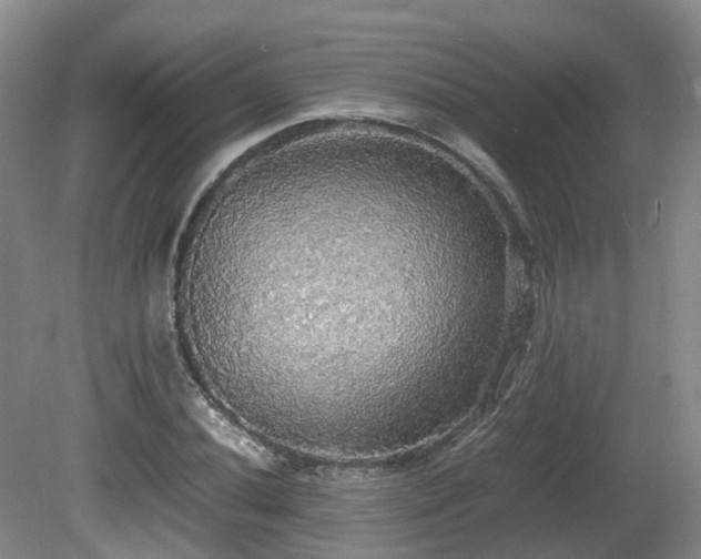 X0000081591020200701151303