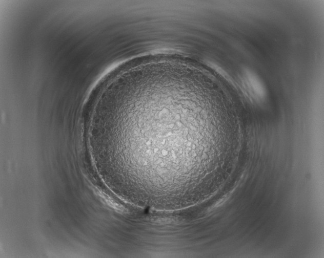 X0000081591021200701151303
