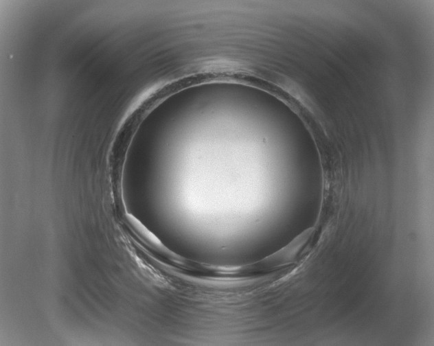 X0000081591022200701151303