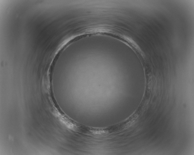 X0000081591031200701151304