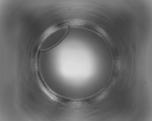 X0000081591034200701151304