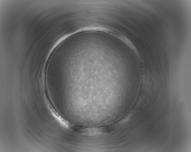 X0000081591044200701151304