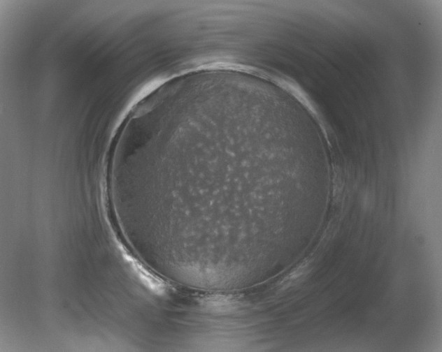 X0000081591048200701151304