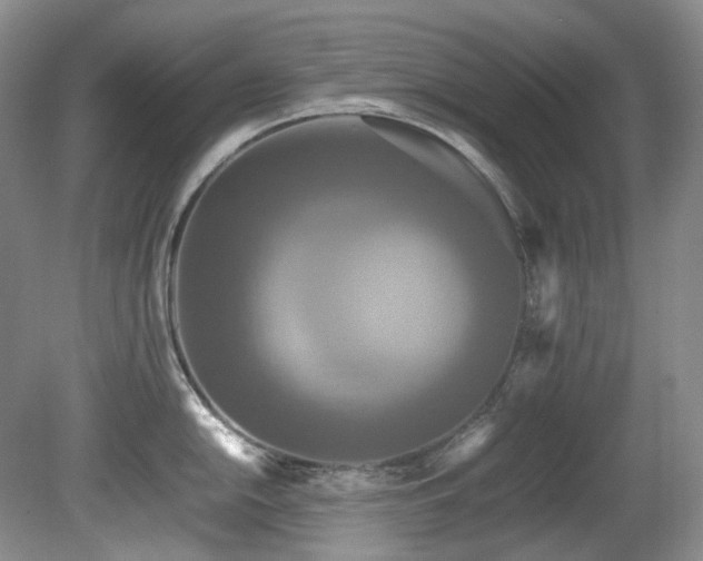 X0000081591054200701151304