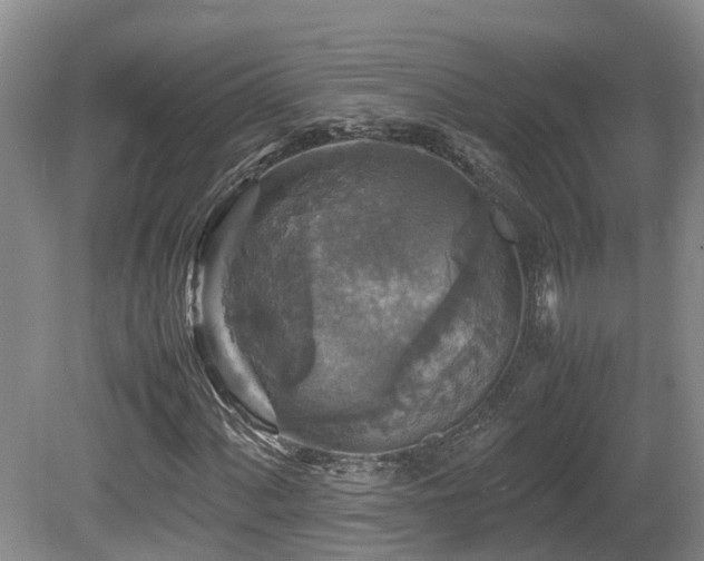 X0000081591060200701151303