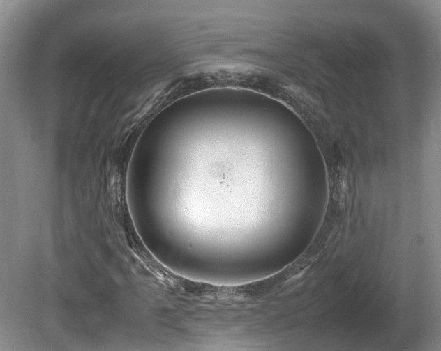 X0000081591061200701151303