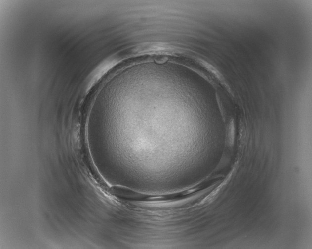 X0000081591066200701151303