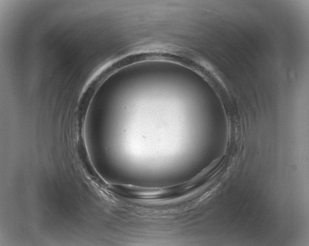 X0000081591069200701151303