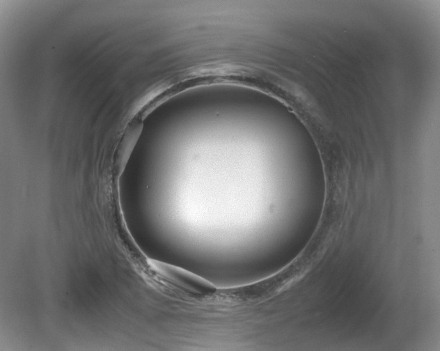 X0000081591073200701151303