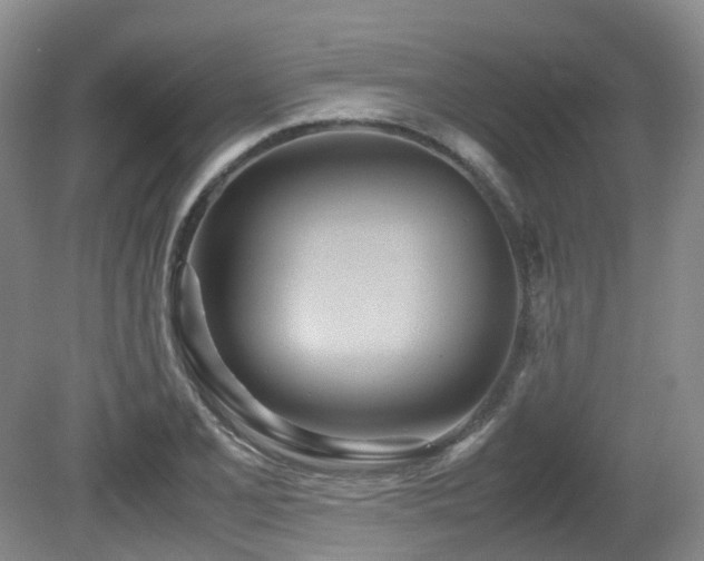 X0000081591077200701151303