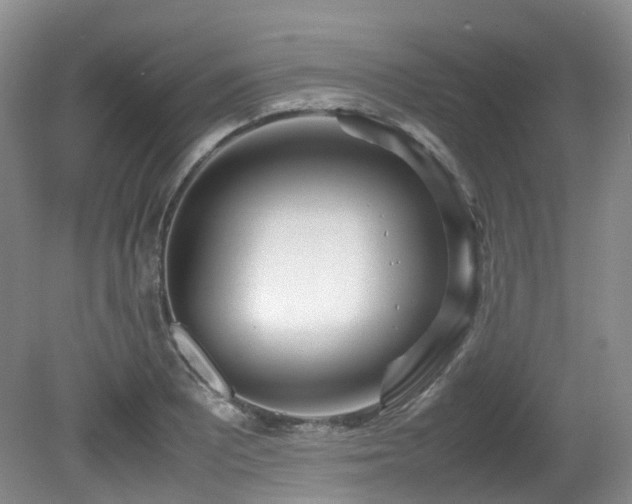 X0000081591081200701151303
