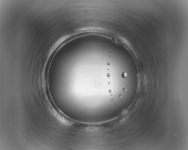 X0000081591082200701151303