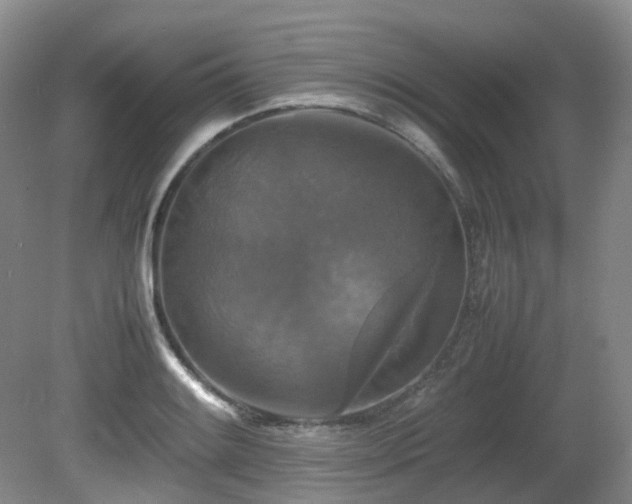 X0000081591084200701151303