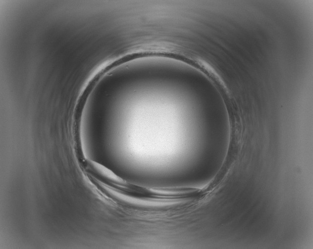 X0000081591085200701151303