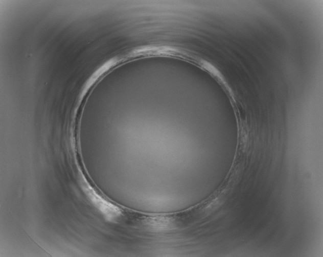 X0000081591090200701151303