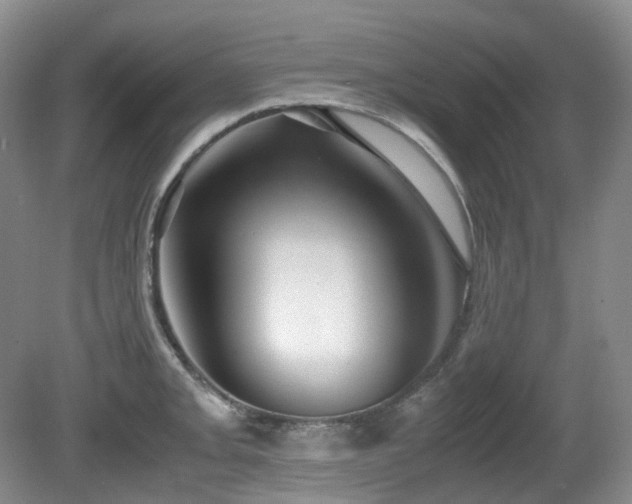 X0000081591093200701151303
