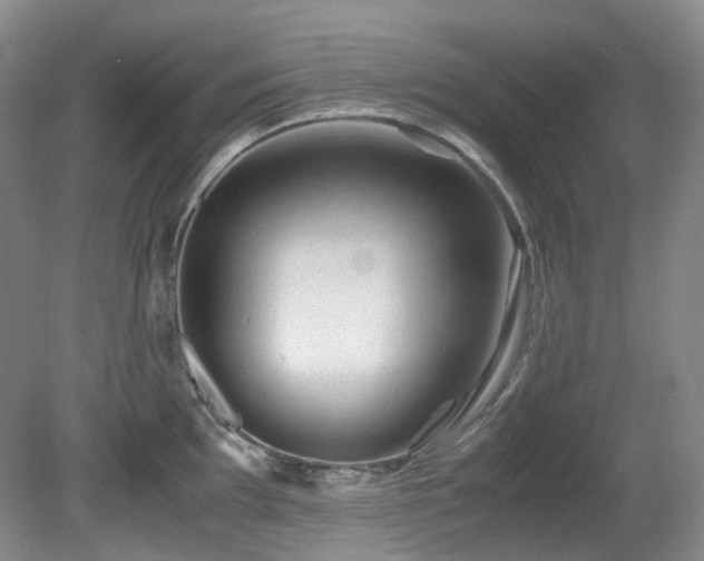 X0000081591097200701151303