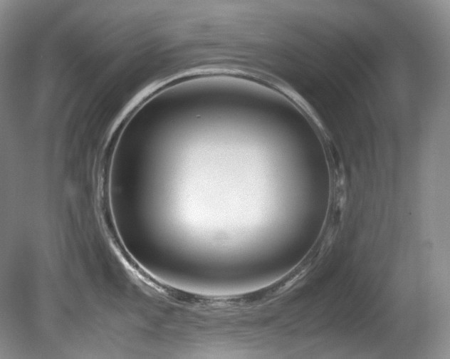 X0000081591101200701151302