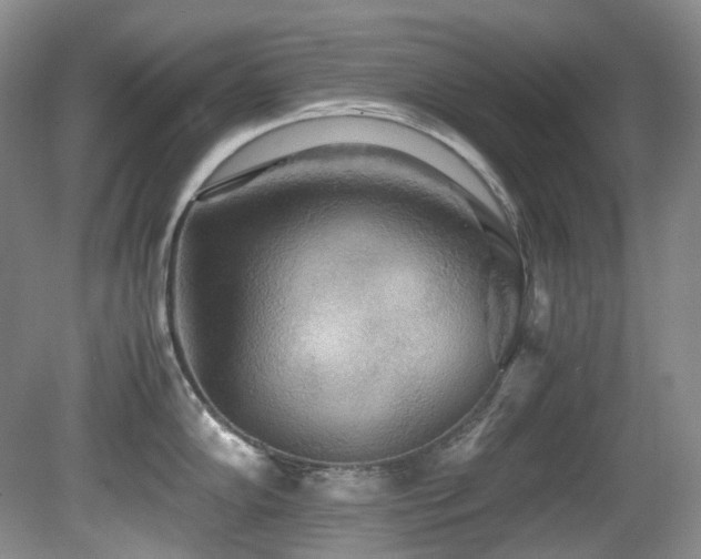 X0000081591102200701151302
