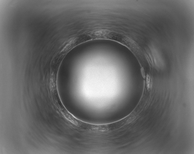 X0000081591107200701151302