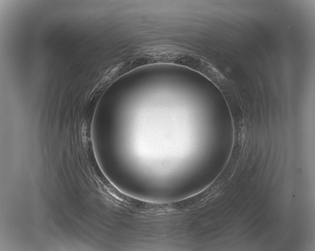 X0000081591108200701151302