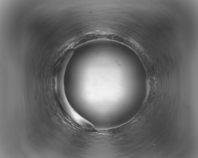 X0000081591110200701151302