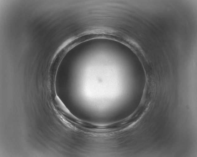 X0000081591114200701151302