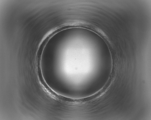 X0000081591122200701151302