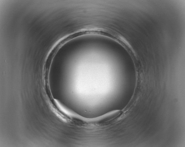 X0000081591124200701151302