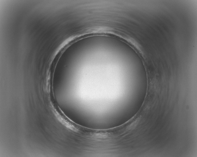 X0000081591126200701151302