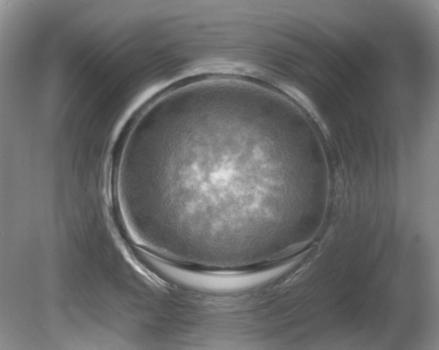 X0000081591128200701151302