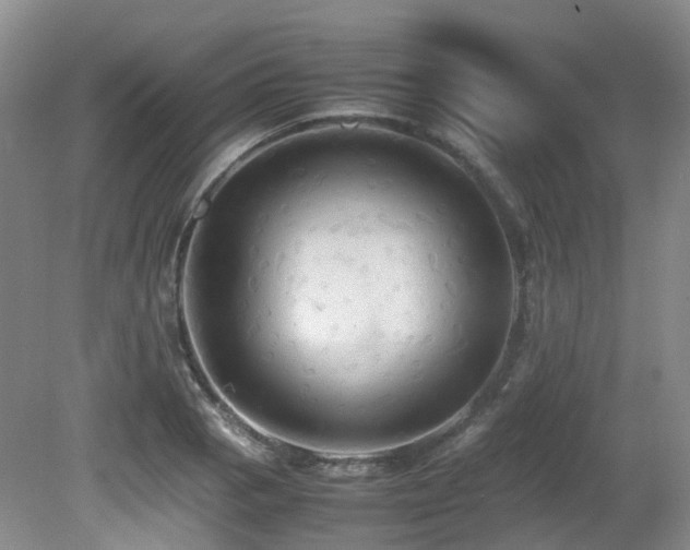 X0000081591129200701151302
