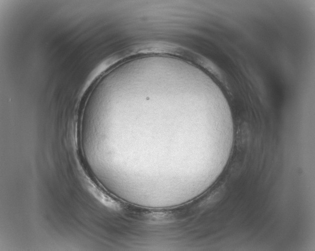 X0000081591130200701151302