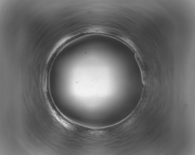 X0000081591131200701151302