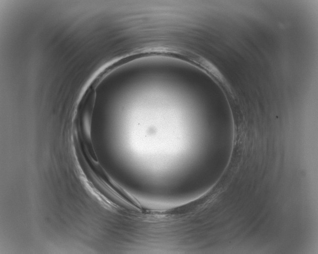 X0000081591132200701151302
