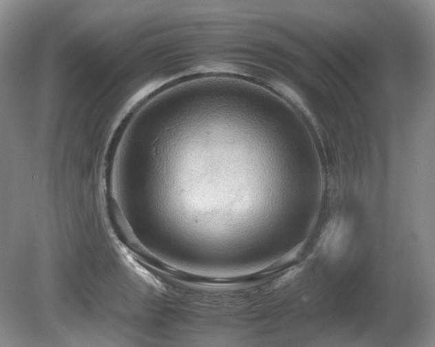 X0000081591133200701151302