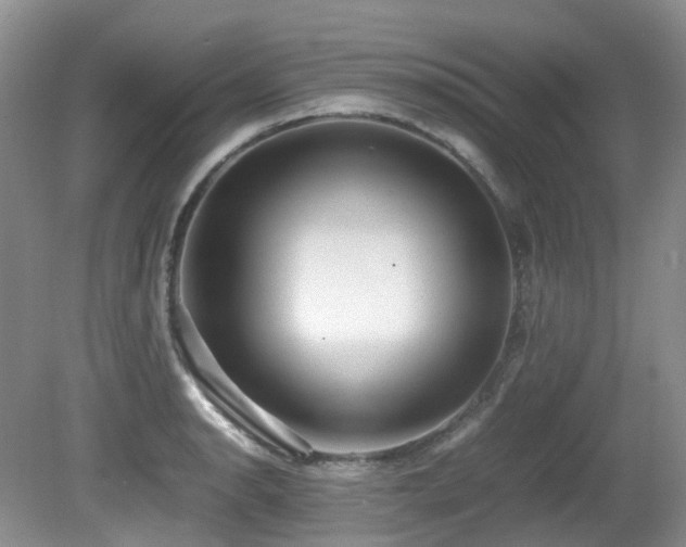 X0000081591134200701151302