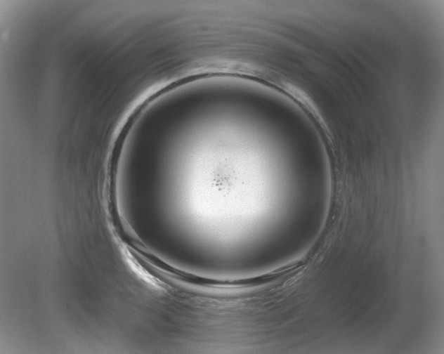 X0000081591136200701151302
