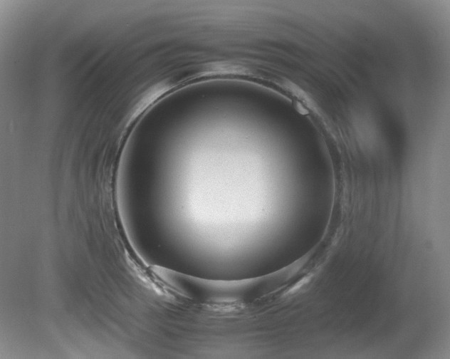 X0000081591137200701151302