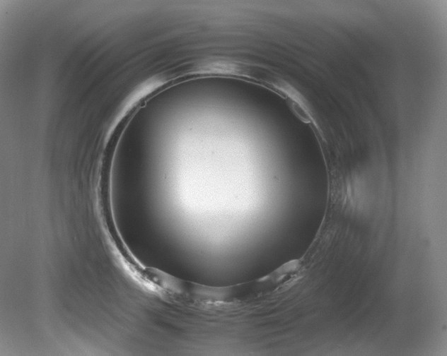 X0000081591139200701151302