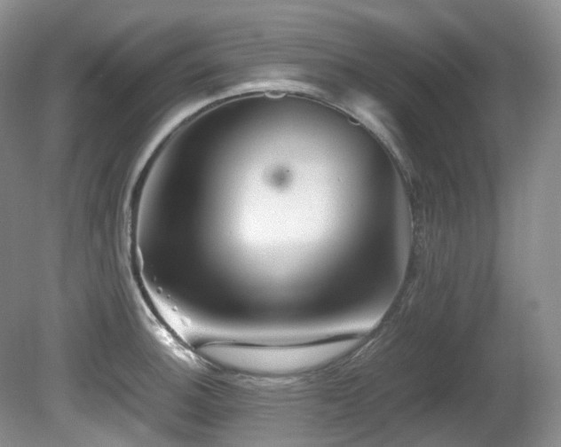 X0000081591140200701151302