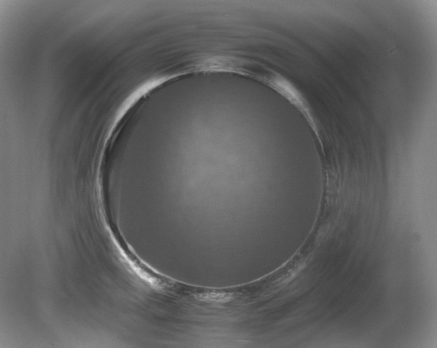 X0000081591141200701151302