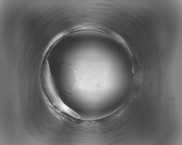 X0000081591146200701151302