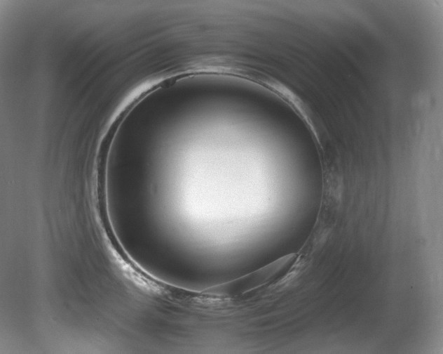 X0000081591147200701151302