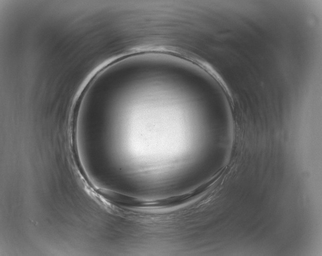 X0000081591148200701151302