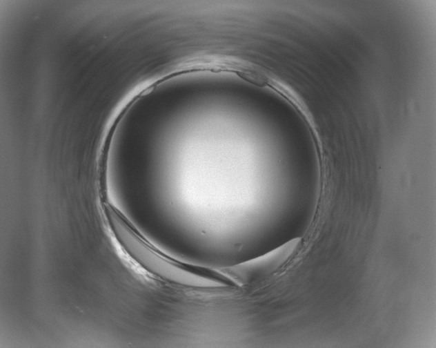 X0000081591152200701151302