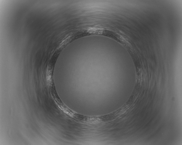 X0000081591154200701151302